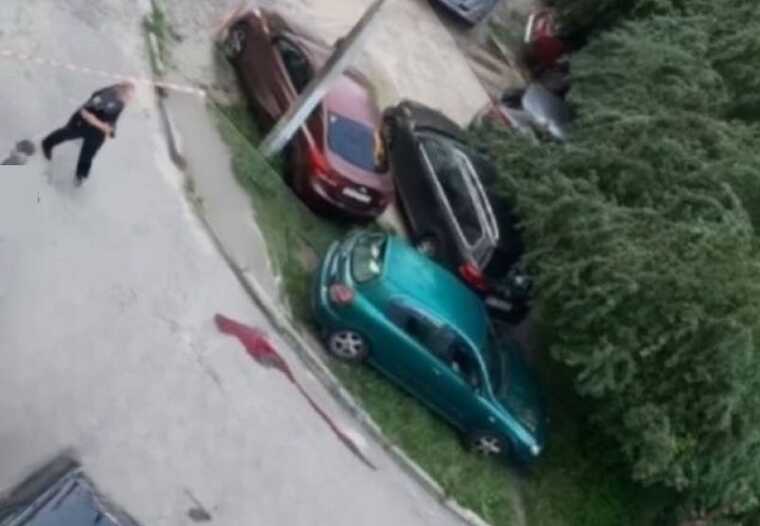 Iryna Farion is in hospital with a gunshot wound in critical condition