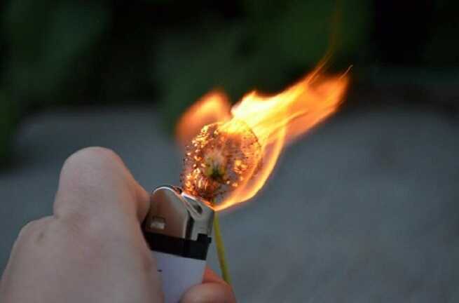 В Киеве сожгли несколько автомобилей военных