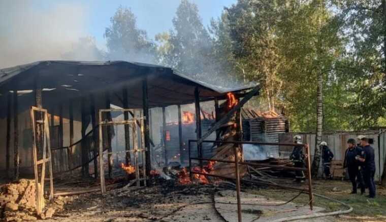 Внаслідок ранкової атаки росіян по передмістю Харкова безвісти зник кенгуру