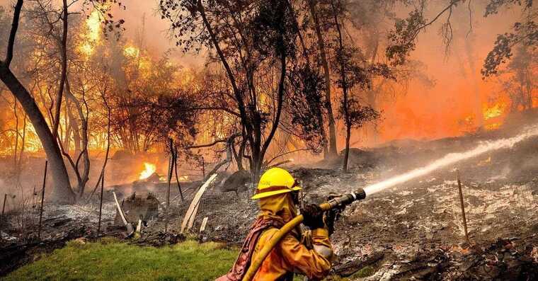 У США та Канаді вирують лісові пожежі
