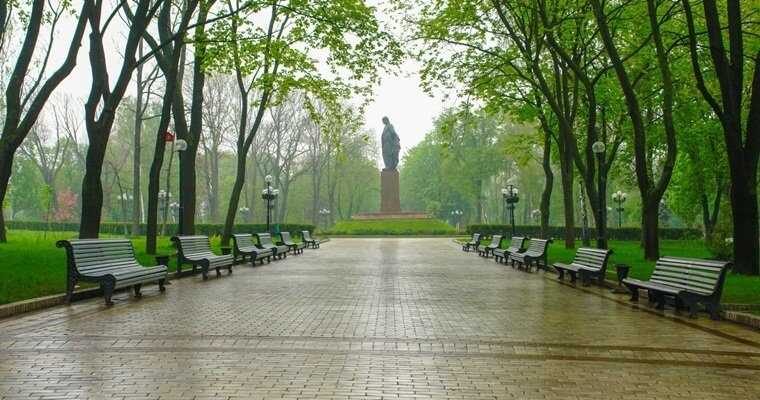 В киевском парке Шевченко упало дерево: четыре человека госпитализированы