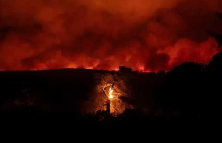 Туреччина готова допомогти Греції в боротьбі з лісовими пожежами