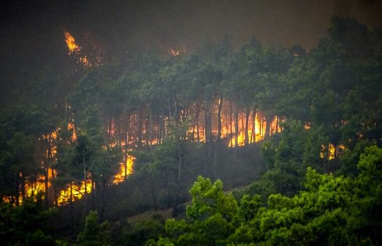 В Греции третий день бушуют мощные лесные пожары