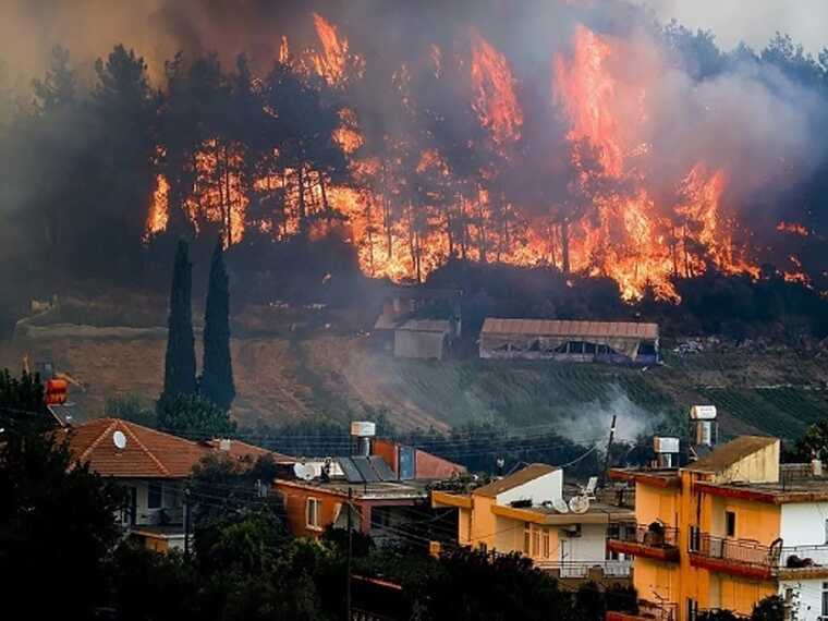 У Туреччині вирують лісові пожежі