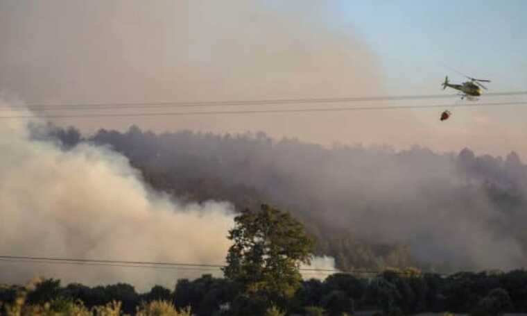На кордоні Іспанії та Португалії вирує лісова пожежа: евакуйовано сотні людей