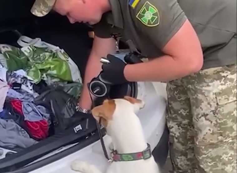 Угорець на набитому наркотиками автомобілі намагався заїхати в Україну