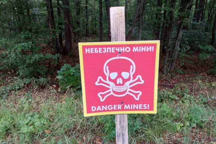 Undetonated Grad shell found in forest near Kyiv