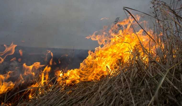 На Хмельнитчине погибла женщина, которая жгла сухостой