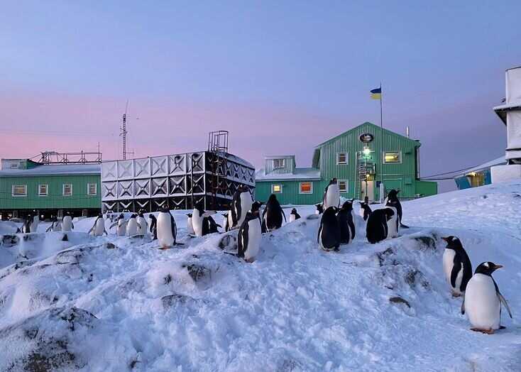 Полярники со станции "Академик Вернадский" записали трогательное обращение ко Дню Независимости
