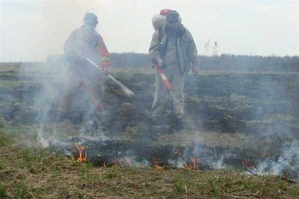 В столице ухудшилось качество воздуха из-за горения торфяников