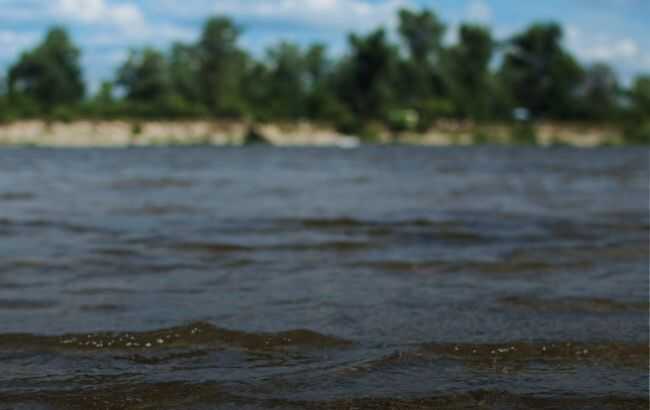 Забруднення річки Десна досягло Київської області