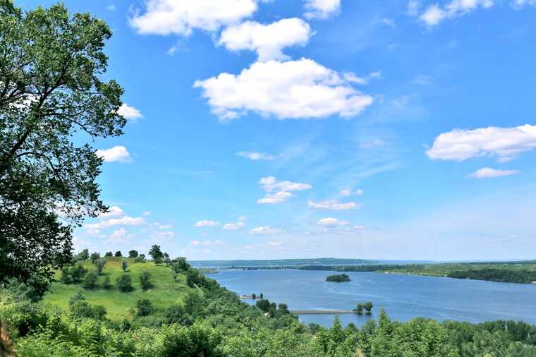 У Київській області в Дніпрі виловили щуку з зеленим м’ясом