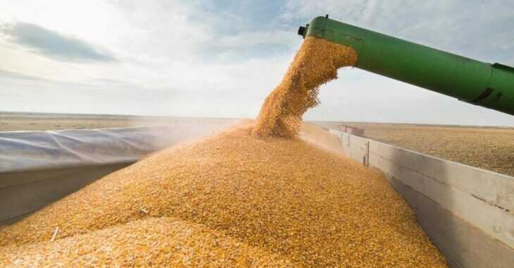 RF has stolen Ukrainian grain worth more than 30 billion hryvnias