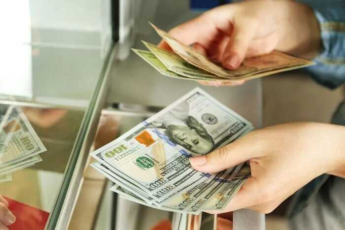 Українці все менше роблять грошові перекази з-за кордону в Україну, - НБУ