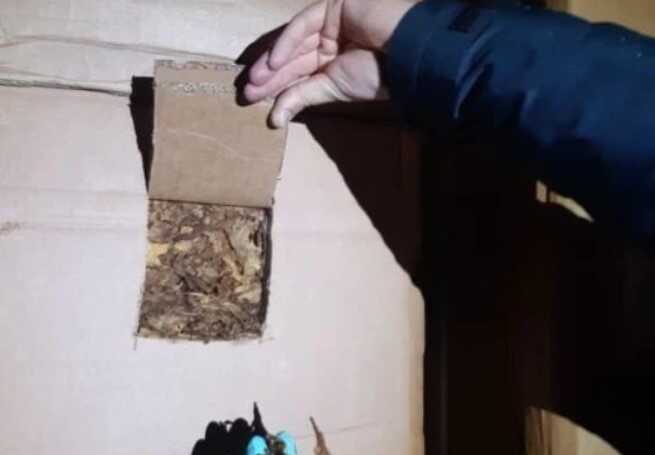У Польщі вилучили понад 13 тонн тютюну на суму понад 2 мільйони доларів