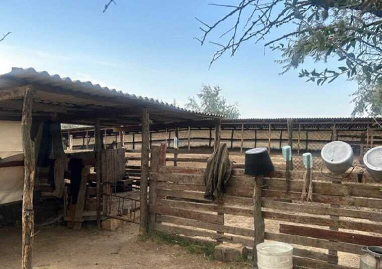 Житель Болграда соорудил на госгранице загон для овец