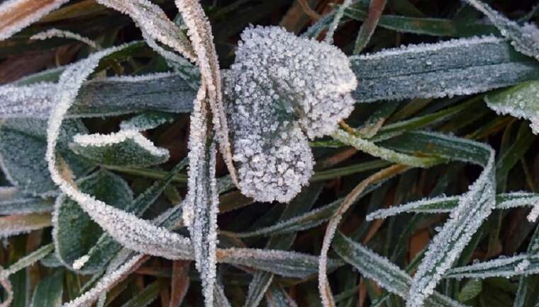 Українців попереджають про заморозки вночі