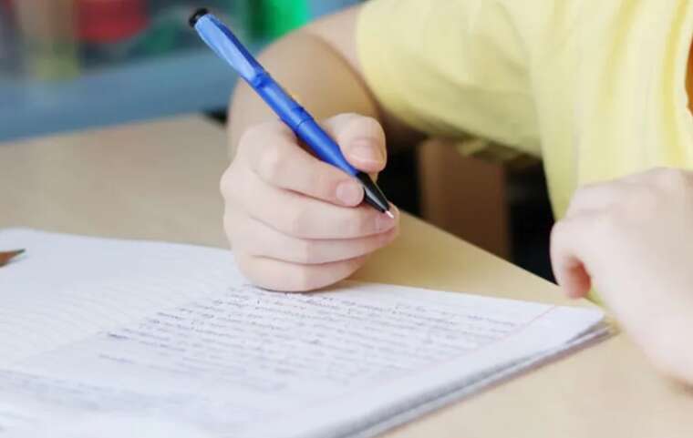 State Final Examination was canceled for all schoolchildren: the specialized committee supported the draft law, – press service of the Verkhovna Rada