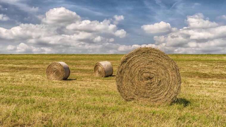 Українців можуть позбавити права на землю