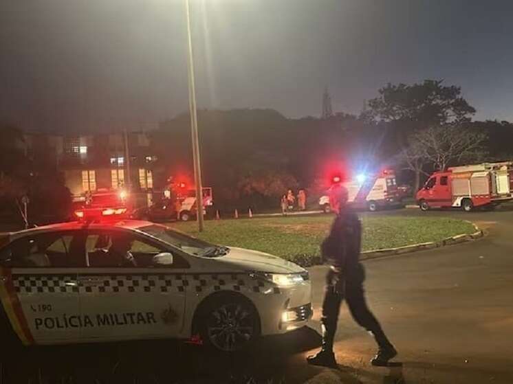 В Бразилии ребенок залез в ветеринарную клинику и убил более 20 животных