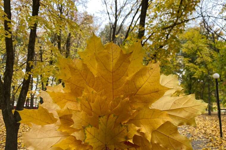 В Украину мчится потепление, - синоптик