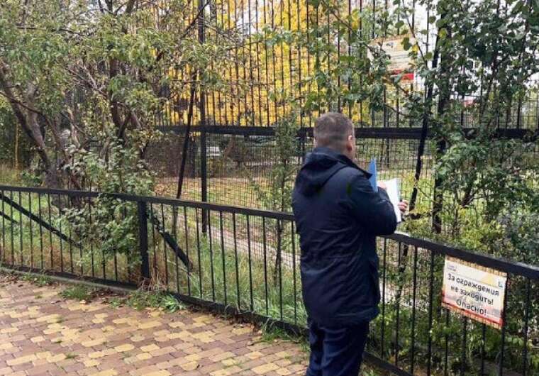 Леви, яких викрали з зоопарку в Маріуполі, загризли росіянку в окупованому Криму