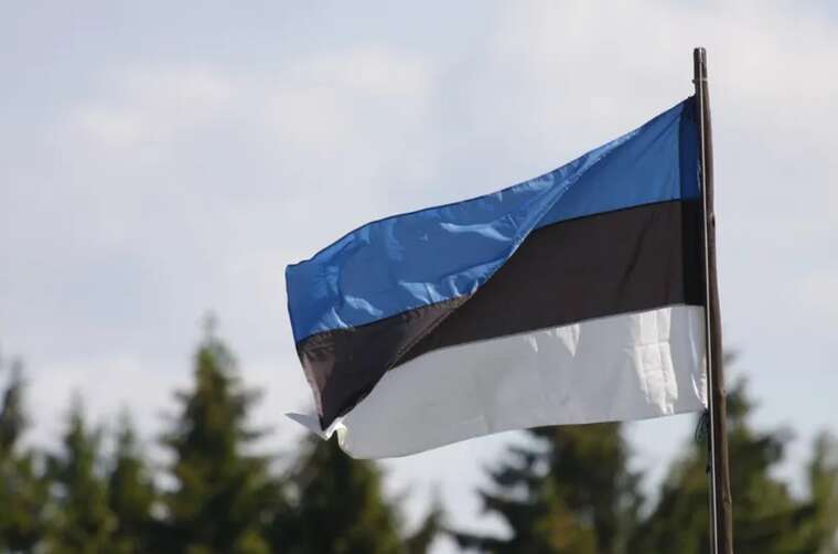 В Естонії планують позбавити права голосу російських резидентів