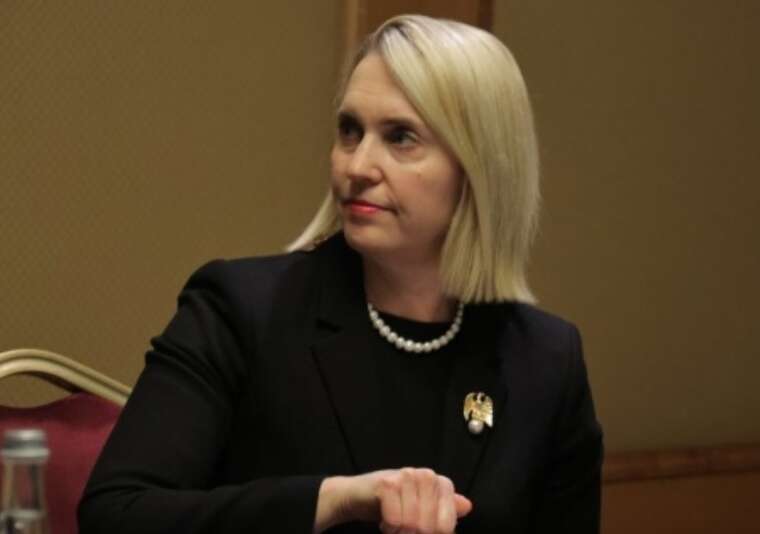 Підтримка України після виборів у США продовжиться, - посол Брінк