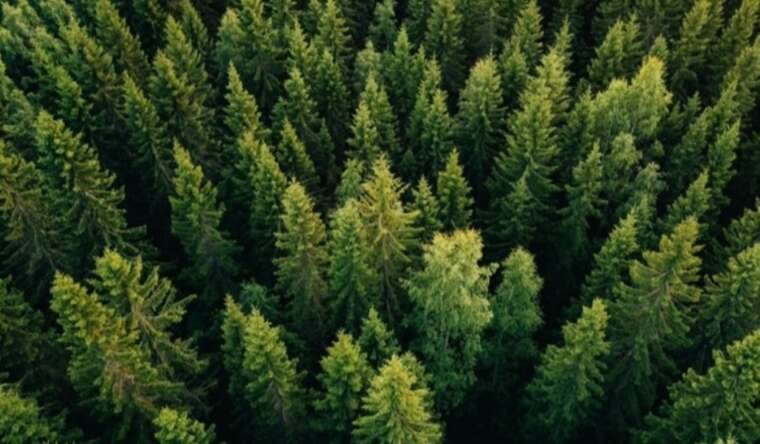 The former regional state administration official was exposed for a $200,000 bribe