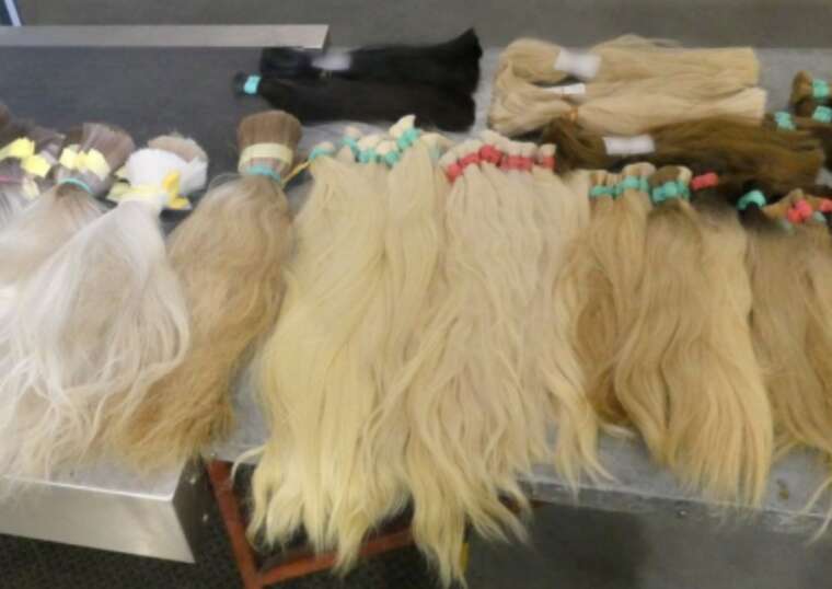 На кордоні з Польщею вилучили майже 20 кг контрабандного волосся з України