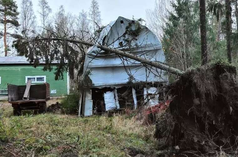 У Фінляндії вперше в історії зафіксували ураган: тисячі будинків залишилися без світла