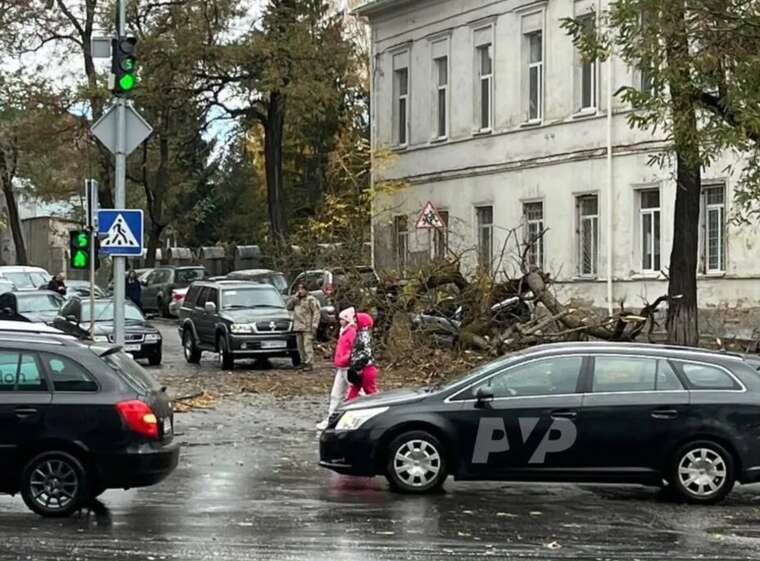 В Україні буревій: сильний вітер валить дерева, пошкоджено авто