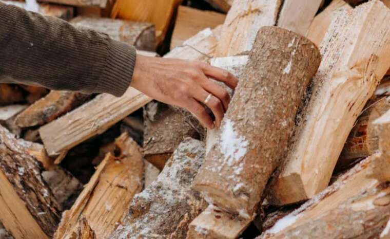 У Раді пояснили, коли людину притягнуть до відповідальності за дрова