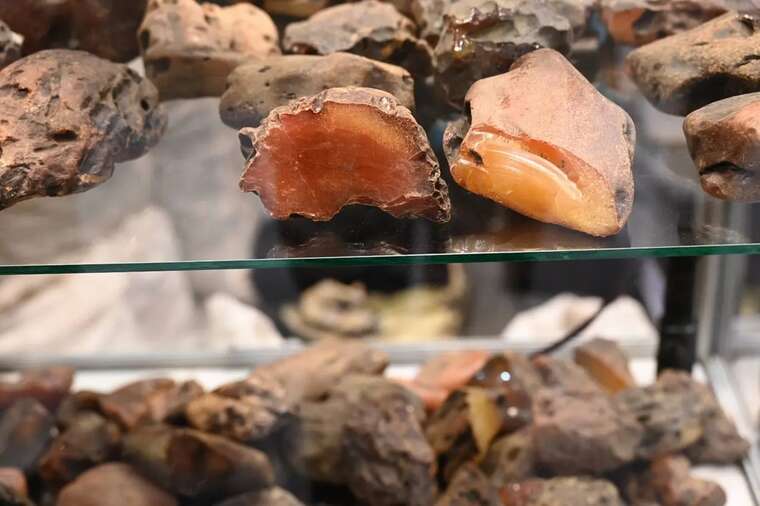 Китайский бизнесмен покупает крупнейшего частного добытчика янтаря в Украине