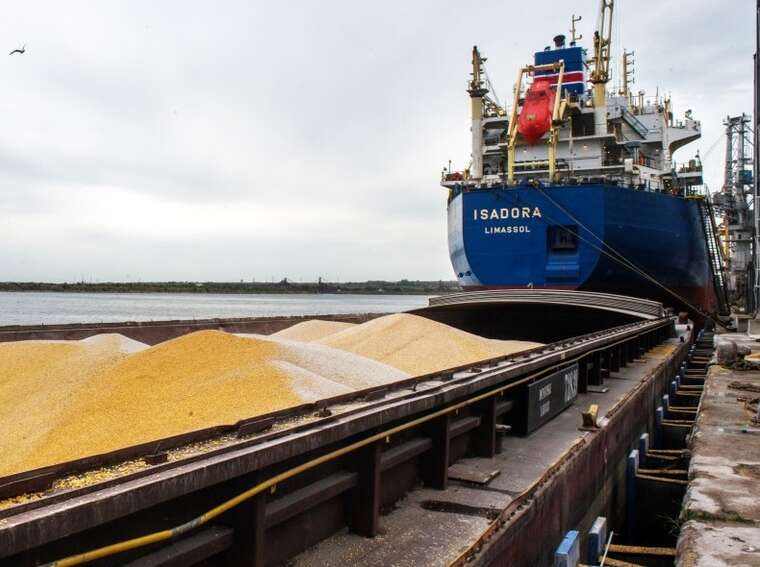 Grain "triangle" of Odesa: how customs, tax authorities, and BES overlook billion-dollar schemes