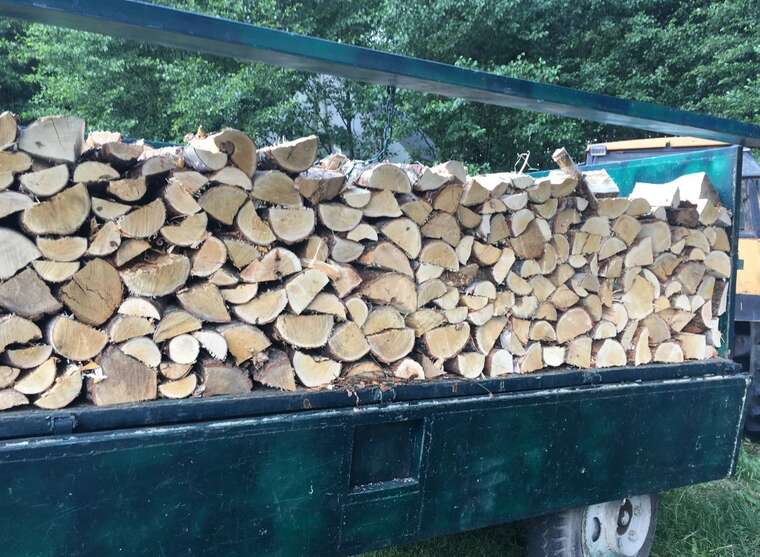 У Миколаєві оштрафували чоловіка через відсутність документів на дрова