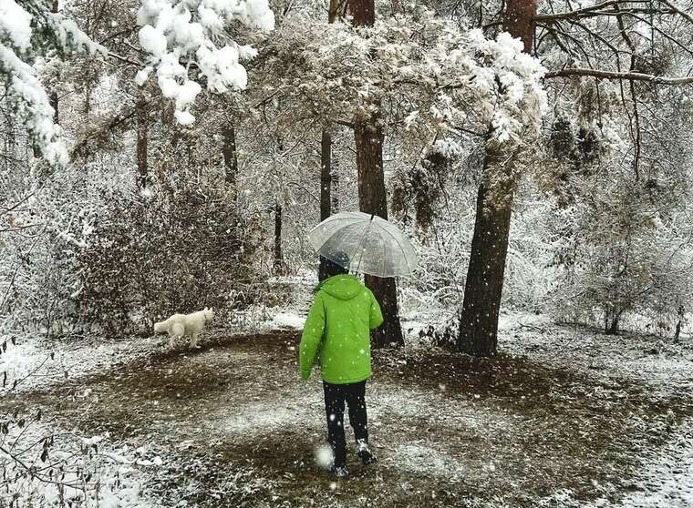 В низці областей України пішов сніг: на дорогах ожеледиця