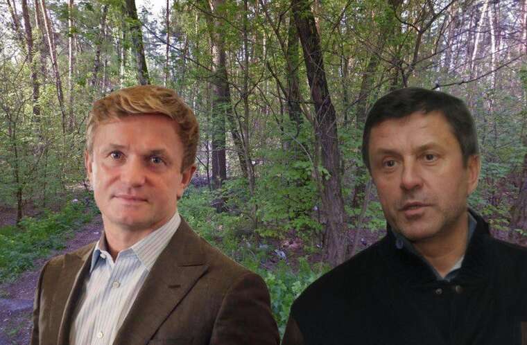 Столичная прокуратура пытается забрать у окружения Ивахива-Пилипишина 7,8 га леса