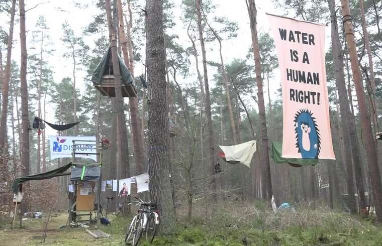 Противники заводу Tesla під Берліном не хочуть злазити з дерев