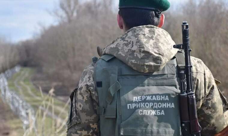 Начальника комендатури ДПСУ засудили за участь у незаконній вирубці дерев у Чорнобильській зоні