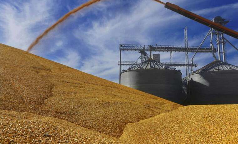 Україна врятувала 20 мільйонів людей від голоду, - Зеленський