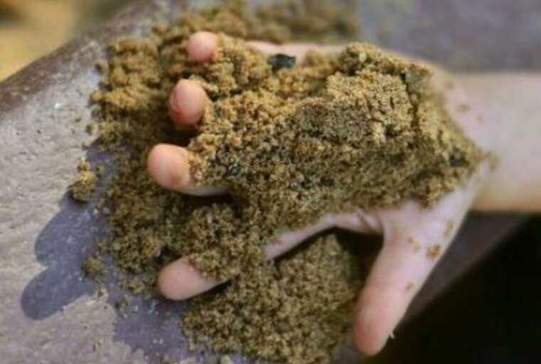 На Ровенщине 13-летнего подростка засыпало песком