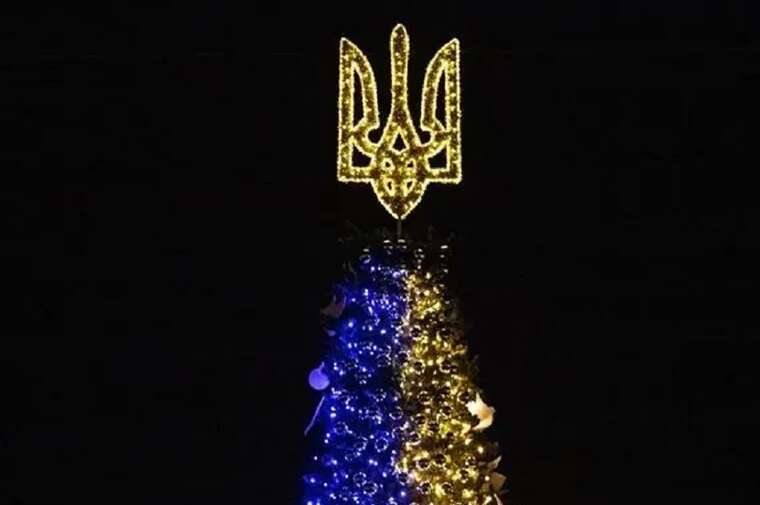 У КМВА розповіли, коли встановлять новорічну ялинку