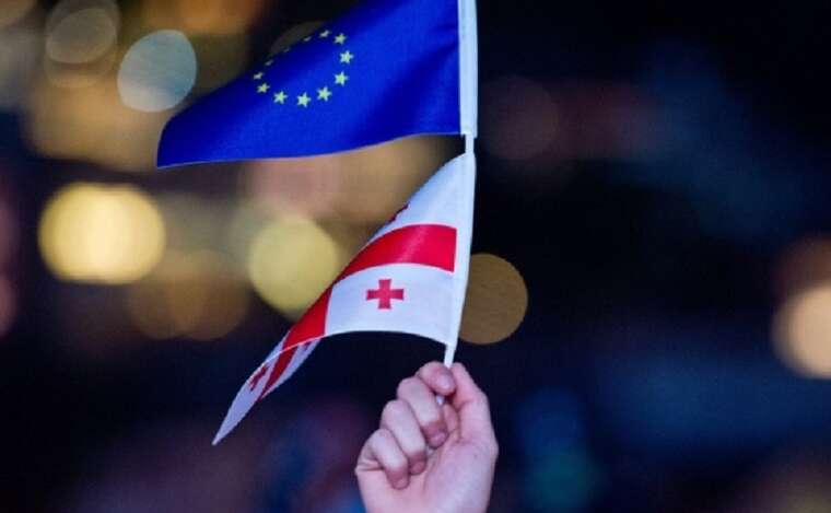 Минобороны и МИД Грузии против приостановления евроинтеграции
