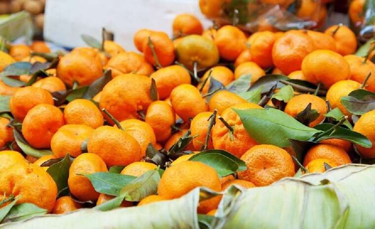 Росія заборонила ввезення мандаринів з Абхазії