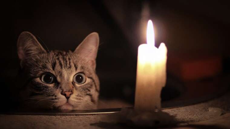 В "Укренерго" показали графік на суботу: світло відключатимуть навіть уночі