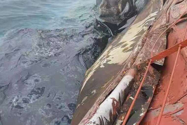 Аварія танкерів у Чорному морі може спричинити екологічну катастрофу, - Greenpeace