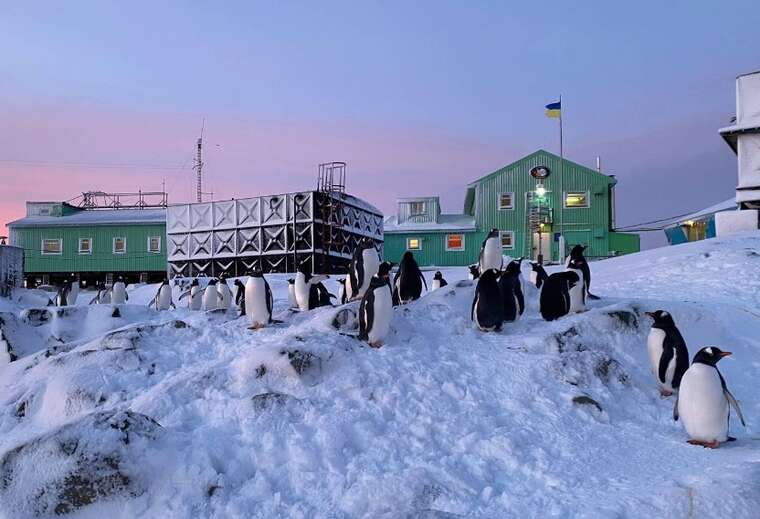 Национальный антарктический научный центр потратит дополнительные 580 тысяч долларов на полярников