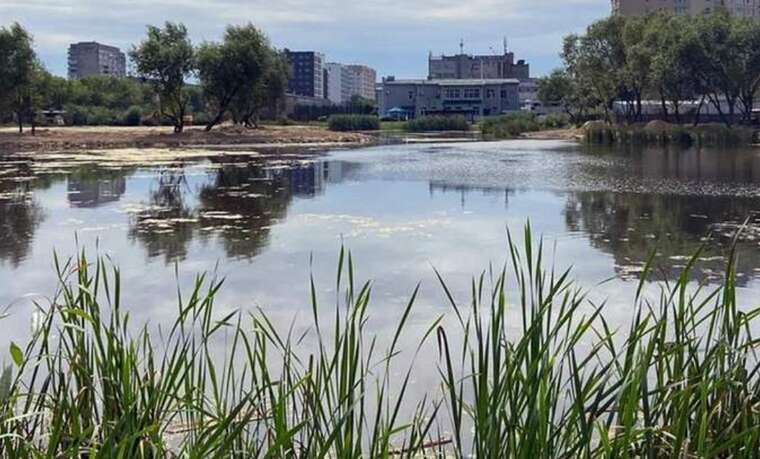 Во Львове в озере обнаружили тело 67-летнего мужчины