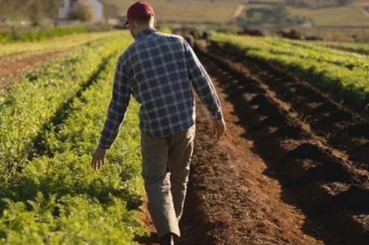 Россияне планируют продать земельные участки украинцев, которые покинули оккупированные территории